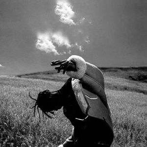 Meet your Posher, Pavan